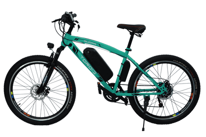rudra Electric cycle on sale